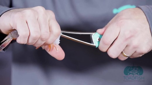How To Use Your Frogmore™ Shrimp Cleaner: 1. You insert the tool right below the top of the shell. 2. Then you push the tool forward, while at the same time sliding the shrimp upwards towards the handle. 3. The entire shrimp peel will be left on the Frogmore cleaner. And the peeled, deveined, and butterflied shrimp will be left in your hand. 4. A quick rinse and you're done! | Toadfish
