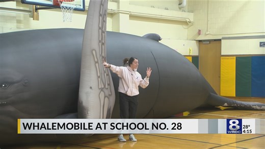 Rochester students explore whales with giant 40-ft inflatable model