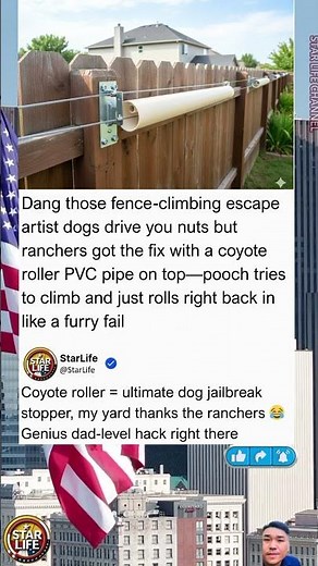 Coyote Roller PVC Pipe Stops Fence-Climbing Dogs and Coyotes—Simple Trick That Actually Works