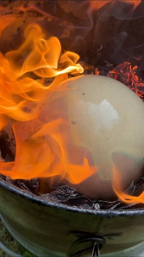 This is what we call flame painting in Raku. Watch the fire dance across the glaze, with red shifting toward metallic copper, green staying oxidized, and that thin blue boundary separating the two. Once it cools into a metastable state, the motion of the flame is frozen forever in the surface. Science and art, captured in a single moment. 🔥 #flamepainting #raku #rakufiring #ceramics #pottery #ceramicglaze #ceramicart #rakuware #ceramicartist #potteryprocess #handmadeceramics #glazescience #cera