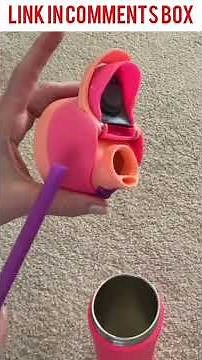 Owala FreeSip Water Bottle Review | Best Insulated Bottle for Travel & Gym 2026