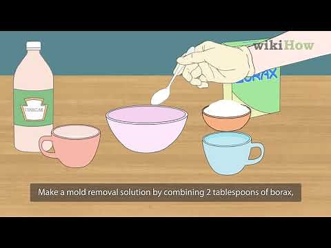 How to Clean Mold off of a Ceiling (Plus Prevention Tips)