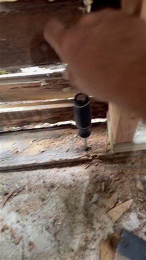Rotted sill plate #renovation #framing #houseflipper
