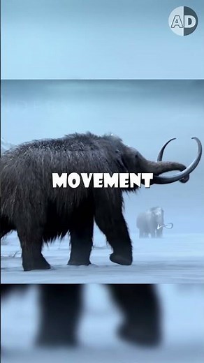 Reviving the Woolly Mammoths: The Key to Halting Permafrost Melting?