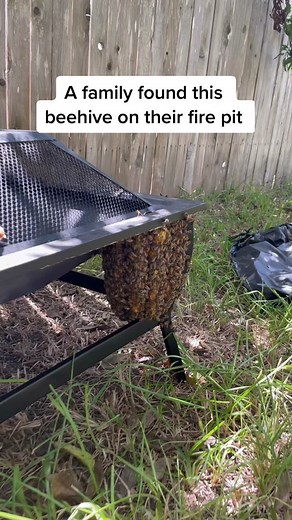 Erika Thompson on TikTok