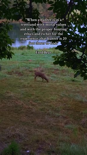 Perfect Morning Experience in the Woods for Hunting