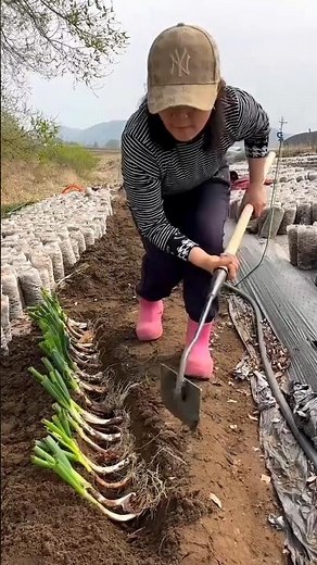 Essential Farming Tools for Rural Farmer | Agricultural Implements #farming #tools #shorts