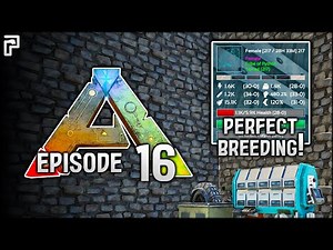 Let's get a PERFECT STATS breeding pair! | Let's Play ARK Survival Evolved [The Island - Ep.16]
