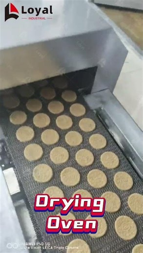 Automatic biscuit production line/How the hard and soft biscuit are made in biscuit factory 2023