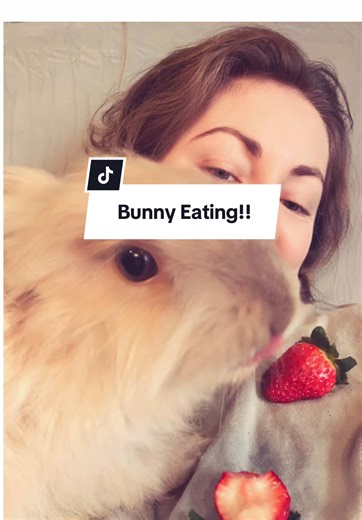 Silent Yarn Barn (@silentyarnbarn)’s videos with original sound - Silent Yarn Barn