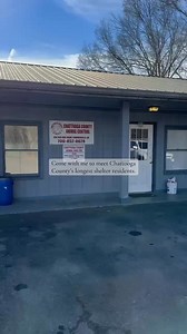 Meet some of Chattooga County's longest animal shelter residents. Please share and help get these animals adopted. | All On Georgia - Chattooga