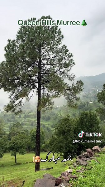 Queen Hills Murree By KBK Marketing @KBK khan @SK🫶 @AK🚩