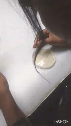 replica plating || replica plate technique #microbiology #microexperiments