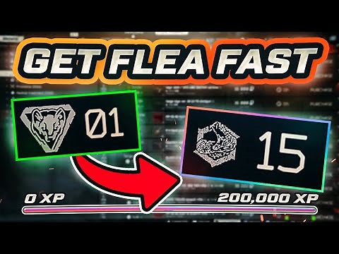 .14 Tarkov Wipe Guide