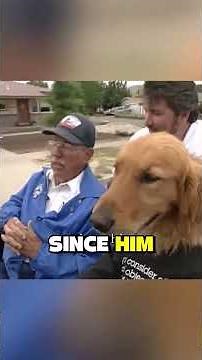 🐶🚗 Porter — The World’s First Driving Dog! | Learned to Drive in Just 47 Days! #short