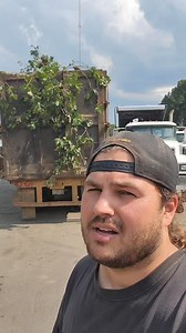 How much is scrap wood worth? #Scrap-Life #recycle #recycling #tree #wood #funny | Michael's Scrap-Life