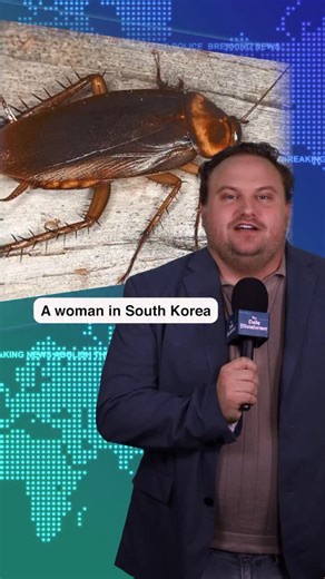 60 reactions | South Korean Woman Sets Fire to Apartment While Trying to Kill Cockroach… … #sᴏᴜᴛʜᴋᴏʀᴇᴀ #cockroach #fire #oops #comedy #jokes | The Daily Misinformer | Facebook