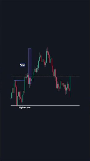 The Best Forex Trading Tips For Beginners