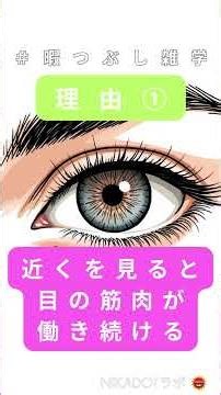 目が疲れるのはなぜ？1分でわかる雑学#雑学 #学び #NIKADOTラボ