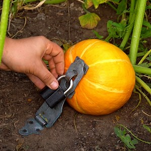 129K views · 353 reactions | Fast and easy garden hacks! | 5-Minute Crafts Men | Facebook