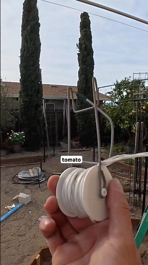 Growing tomatoes vertically is one of the best ways to maximize your garden 🍅