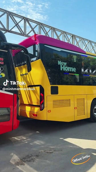 Minh Mẫn Traco Bus trên TikTok