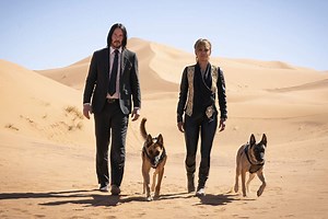 The Dog in John Wick Really Did Climb That Wall