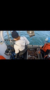 1K views · 71 reactions | Happy Friday from Princess Seafood! Here...