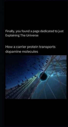 How a carrier protein transports dopamine molecules #biology ##brainscience #proteomics #interesting