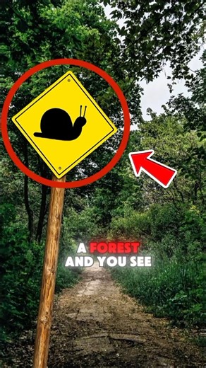 If You See This Sign… Slow Down Immediately ⚠️