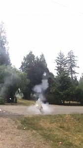 6.1K views · 73 reactions | This was never going to end well...  | LADbible New Zealand | Facebook