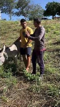 16 de janeiro de 2026