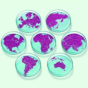 1.1K views · 274 shares | Discover the six-step plan to ready the world for the next pandemic from a former CDC director. | The Wall Street Journal | Facebook