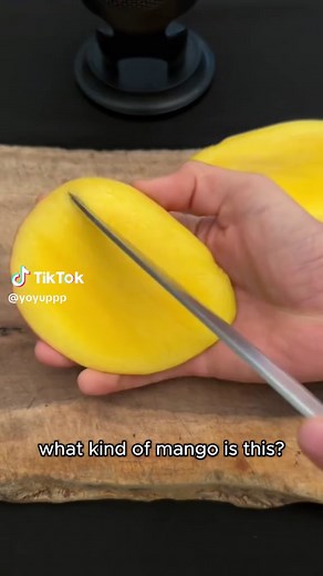 Identifying Different Types of Mangoes