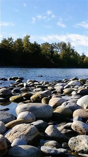 Titli –Dana Razik & Haniya Nafisa - Best Cover Ever - Vishal‑Shekhar | Amitabh Bh | Chennai Express