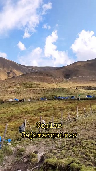 Coplas Cajamarquinas - 6ta Parte