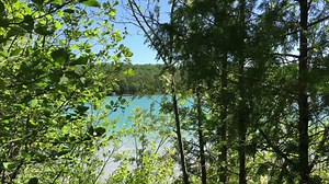 Spend one minute with us along the shore of Cedar Lake in our DeYoung Natural Area. | Leelanau Conservancy