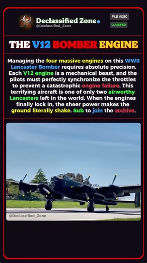 THE RAREST WWII BOMBER ✈️