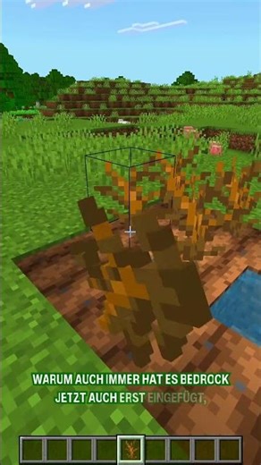 Coole NEUE Minecraft Bedrock Features!