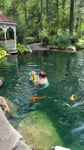 Large Recreational Swim Pond Design Inspiration #shorts