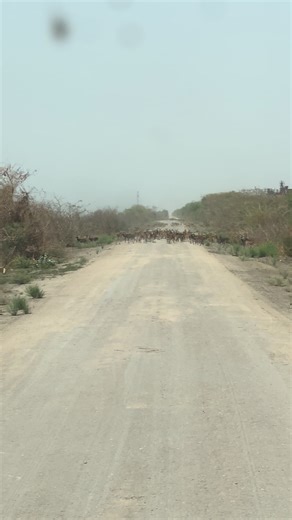 Aleer Deng (@aleer.deng2)’s videos with original sound - PRIDE OF DINKA 🇸🇸🇸🇸🙌