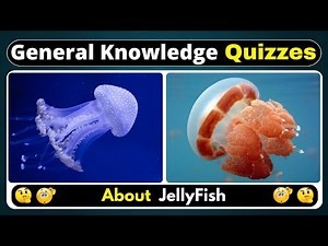 10 Jellyfish Quiz Questions That Will Shock You | Ocean Trivia | Fun Facts | Helian GK Quiz
