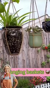 10K reactions · 40 comments | Good tip for you #beautifulflowers #gardendesign #grafting #rooting #gardeningtips #plant #creativeideas #bonsai #landscape #pruning #prettyflowers #wabisabigarden #gardenersoftiktok #smallgardendesigns #naturevibes #flowerlovers #gardening #plantlover #gardeninghacks #swisscheese | garden hack | Facebook