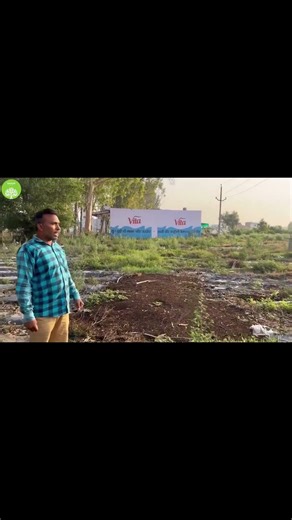 ⚠️ Fraud Vermicompost Companies – Your Money Becomes 💸 ZERO! #shorts