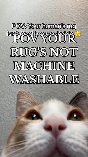 #stitch with @Your Barefoot Neighbor Work smarter, not harder. Get a machine washable rug! 😉 #ruggable #rugtok #washablerugs #rugcleaning