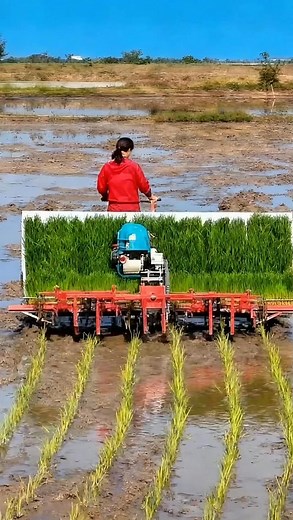 6.4K views · 68 reactions | Rice Transplanter Semi Otomatis  | X-Vans | Facebook