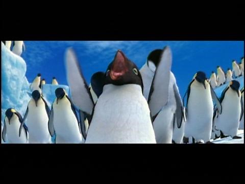 ▶️ Happy Feet