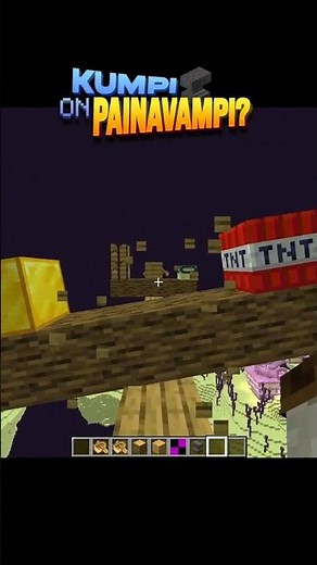 Kumpi on painavampi? (osa 11) #minecraft #suomi