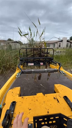 Bullrush and cattail removal #lakelife #orlando #smallbusinesssupportingsmallbusiness #aquaticweedcontrol | Project 7 Services