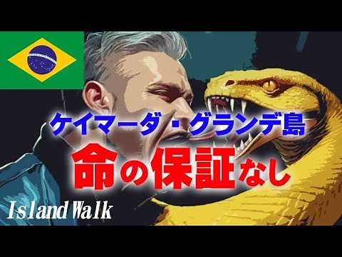 ケイマーダ・グランデ島（ブラジル）Snake Island in Brazil 命の保証なし。危険な毒蛇が群がる島。